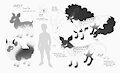 Corico Species Sheet