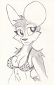 Fennec Bikini