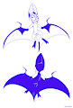 Moth