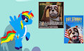 I have watched SGT. STUBBY
