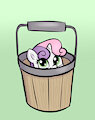 Sweetie Bucket