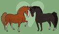 hawses by Layt0n