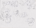 Pachirisu y Rattata