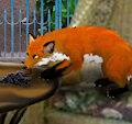 Ship's Fox page 78