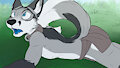 Collared? by bluepawz