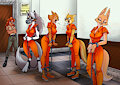 Furry Prison 50 By lunargue