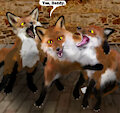Ship's Fox page 79