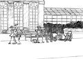Musical gardens