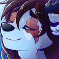 IanD - avatar