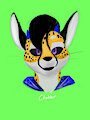 Chabbot Chuki by BrokenTRabbit