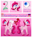 Raspberry Sorbet Reference Sheet