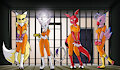 Furry Prison 59 By jarethnerl