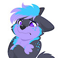Pouty Zeph by ZephyWolfface