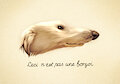 Ceci N'est Pas Une Borzoi (art)