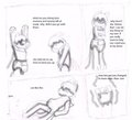 pokefur tumblr 