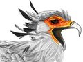 Daily Random Stuff 95