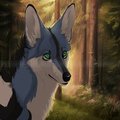 Commission - Forest Light