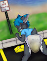 No Dumping
