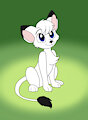 Cute Kimba