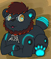 Bear-O-8