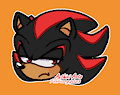Shadow Doodle