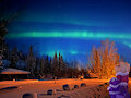Night walk)