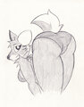 White Tail by Simonov
