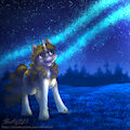 Lea - Stargazing