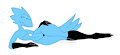 Parnell the birb