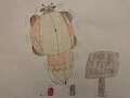 Free Fox Balloon!