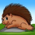 The Porcupine Song
