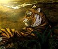 Bengal tiger (first submission) by Xiver