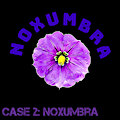 Noxumbra Files - Case 2: Noxumbra