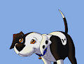 Jess Wag (animated)