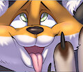 paws and fox