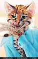 Office Animal (1/2)