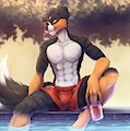 Relax by the pool (SFW) by SunnyOwi