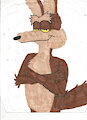 Wile E Coyote Pic!