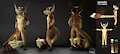 [ Refsheet ] Kaparo by Kaparo
