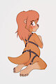 Plumette harness