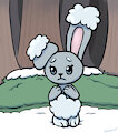 Winter Buneary