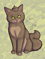 Poosie Cat by InsaneProxy