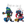 Pokemon boy or girl