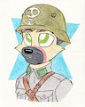 Finnish Private