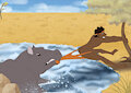 Beware the hippos too by Inukuroo