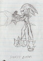 2005 Sonicboom