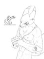 Renamon Hevolution by ChibiChan