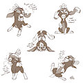 Sloshed Shanty [C]