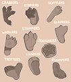 Feet Selection