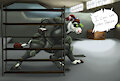 How Now Stealth Cow?